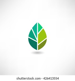 Green Leaf. Eco icon