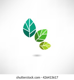 Green Leaf. Eco icon