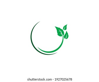 Green leaf, Eco icon on white background. Vector illustration.