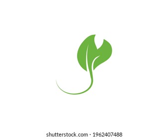 Green leaf, Eco icon on white background. Vector illustration.