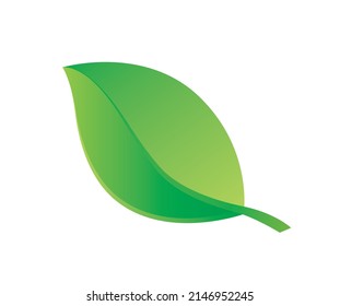 Green leaf - Eco Logo design for Natural Organic cosmetics spa medicine, Vector icon illustration isolated on white background.