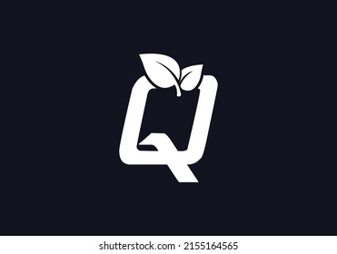 Vector de diseño de logotipo de hoja verde y naturaleza ecológica con la letra Q