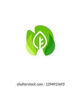 Green Leaf eco organic Logo design vector template