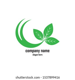 Green Leaf eco organic Logo design vector template
