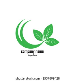 Green Leaf eco organic Logo design vector template
