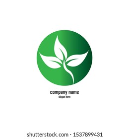 Green Leaf eco organic Logo design vector template
