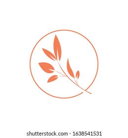 Green Leaf eco organic Logo design vector template