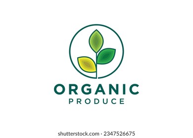 Green Leaf eco organic Logo design vector template