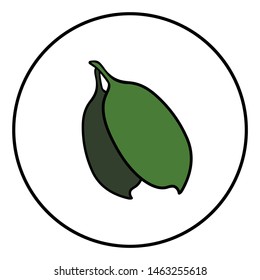 Green leaf eco vector illustration isolated