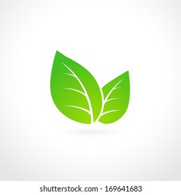 Green leaf ecology emblem isolated vector illustration