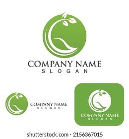 Green  leaf ecology Logo nature element vector