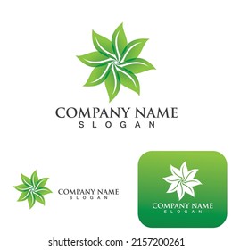 Grünes Blatt Ökologie Logo Naturelement Vektorgrafik
