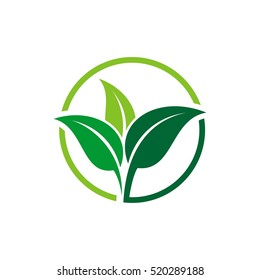 Green Leaf Ecology Logo Template Illustration Design. Vector EPS 10.