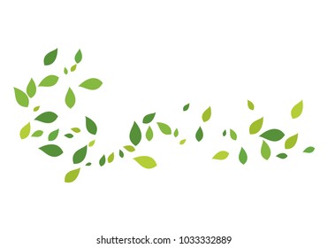 green leaf ecology nature 