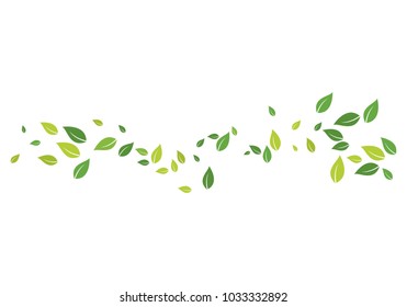 green leaf ecology nature 