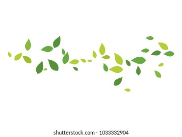 green leaf ecology nature 