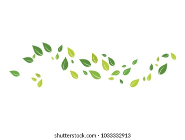 green leaf ecology nature 