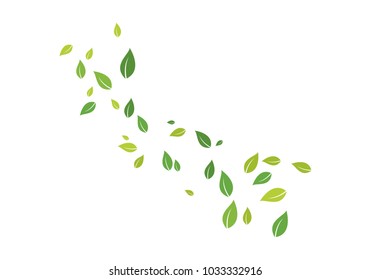 green leaf ecology nature 