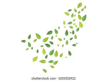 green leaf ecology nature 
