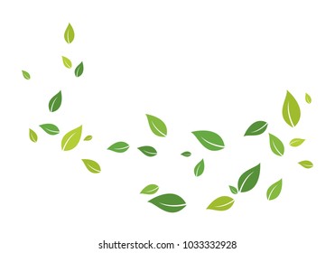 green leaf ecology nature 