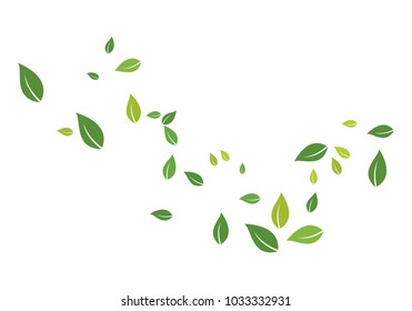 green leaf ecology nature 