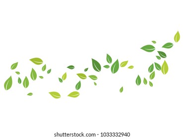 naturaleza ecológica de la hoja verde