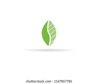 green leaf ecology nature element vector icon