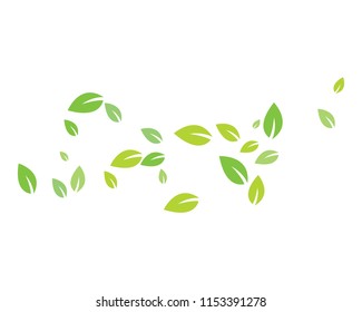 green leaf ecology nature element vector icon