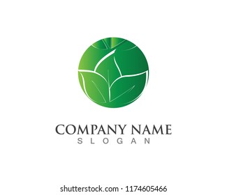 green leaf ecology nature element vector icon