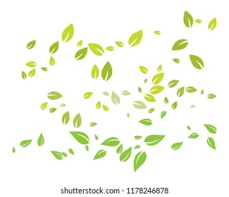 green leaf ecology nature element vector icon