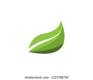 Green leaf ecology nature element