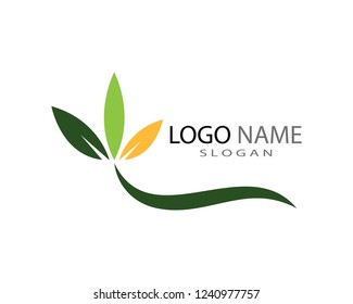 Green leaf ecology nature element