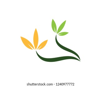 Green leaf ecology nature element