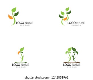 Green leaf ecology nature element