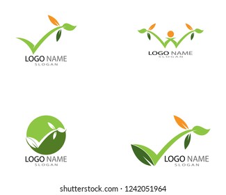 Green leaf ecology nature element