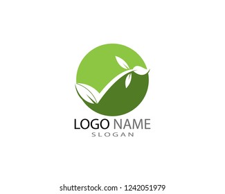 Green leaf ecology nature element