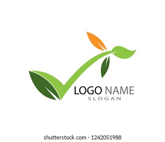 Green leaf ecology nature element