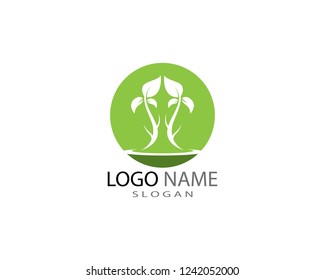 Green leaf ecology nature element