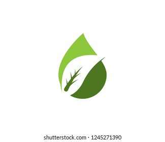 Green leaf ecology nature element