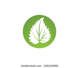 green leaf ecology nature element vector icon - Vector