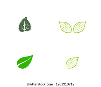 green leaf ecology nature element vector icon - Vector