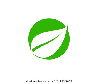 green leaf ecology nature element vector icon - Vector