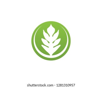 green leaf ecology nature element vector icon - Vector
