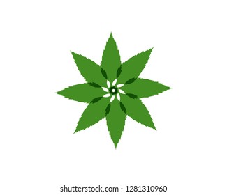 green leaf ecology nature element vector icon - Vector