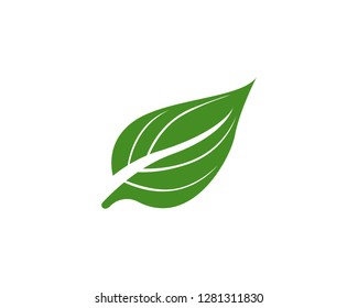 green leaf ecology nature element vector icon - Vector