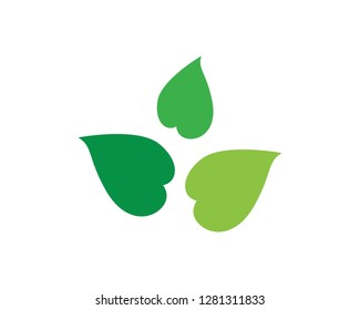 green leaf ecology nature element vector icon - Vector
