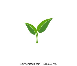 Green leaf ecology nature element vector icon