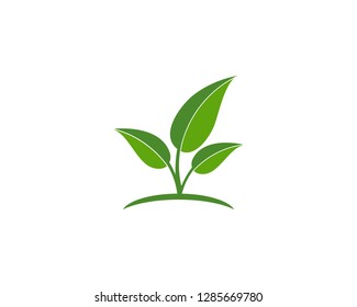 Green leaf ecology nature element vector icon