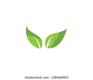 Green leaf ecology nature element vector icon
