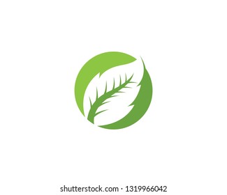 Green leaf ecology nature element vector